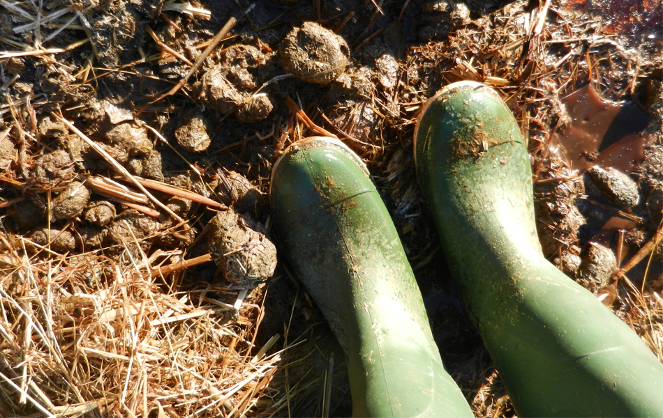 muck boot faq