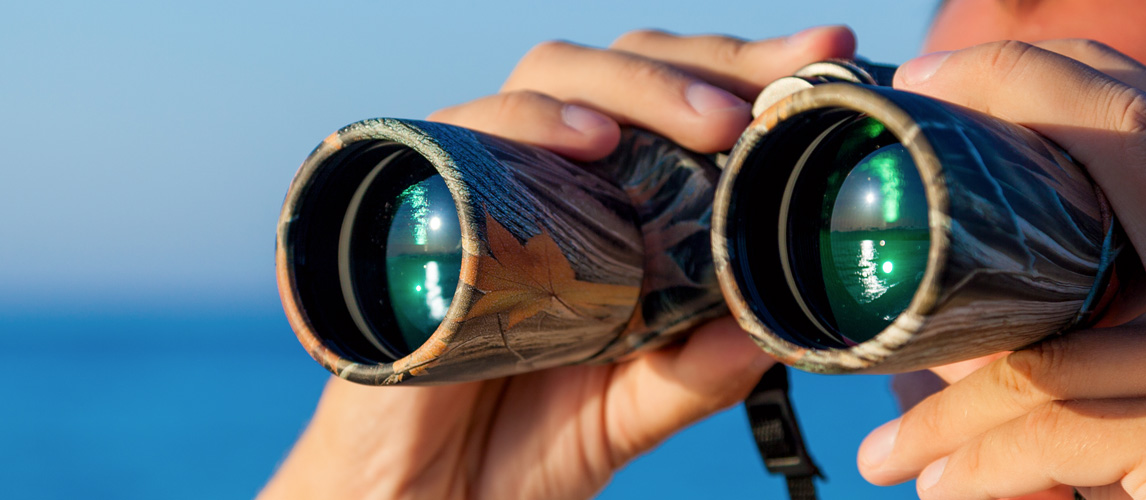 Best Hunting Binoculars of 2022 [Buying Guide] Gear Hungry