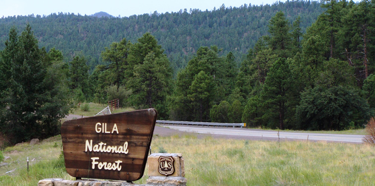 gila national forest
