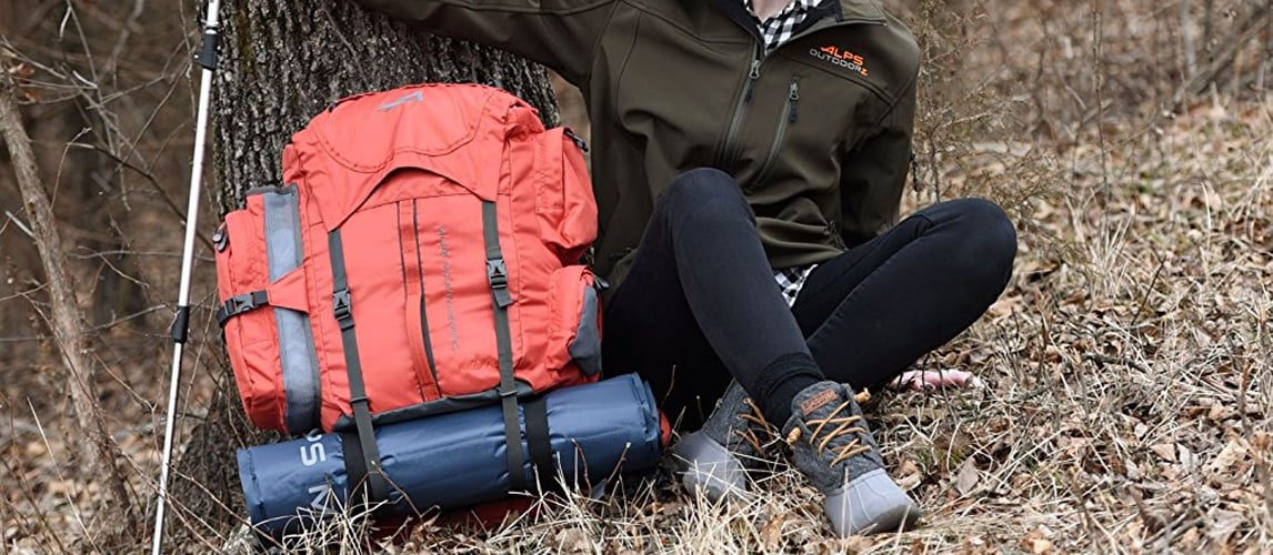 best frame backpack