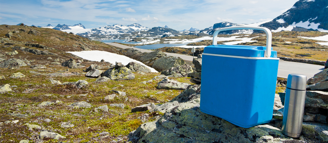 Best Cooler For Camping in 2022 [Buying Guide] Gear Hungry