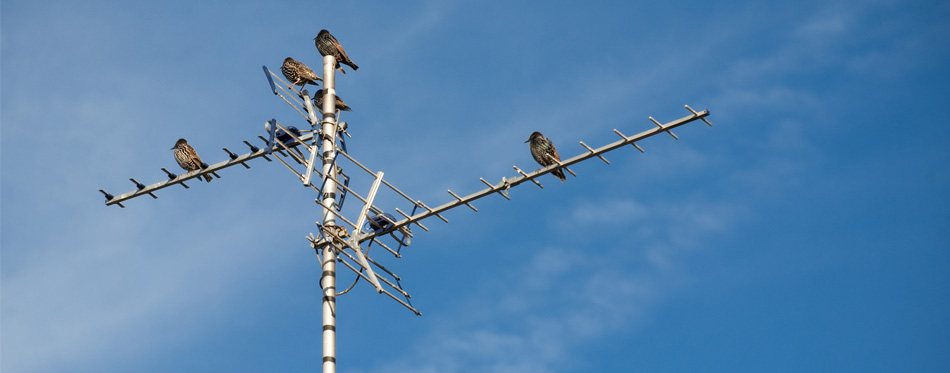 10 Best Outdoor Tv Antenna In 2019 Ing Guide Gear Hungry Best Outdoor Tv Antena