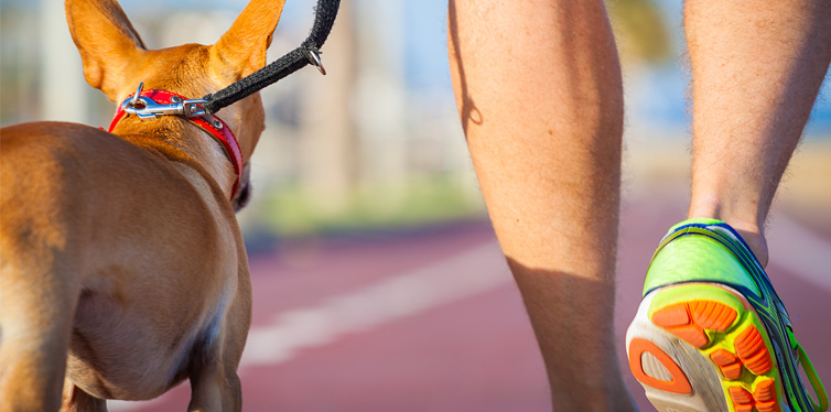 10 Reasons Every Man Should Have a Dog