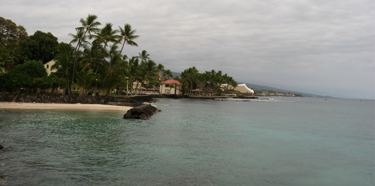 manta night dive, hawaii