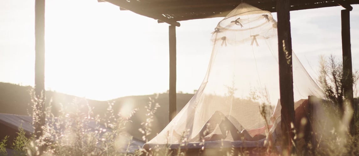 best mosquito net brand