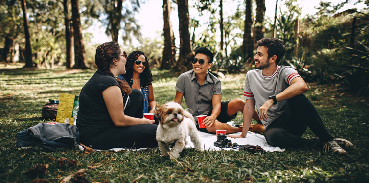 friends in the nature