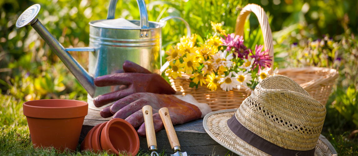 Gifts For Gardeners in 2022 [Buying Guide] Gear Hungry