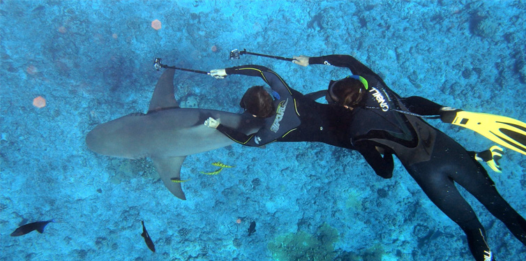 two peopole diving and taking photos
