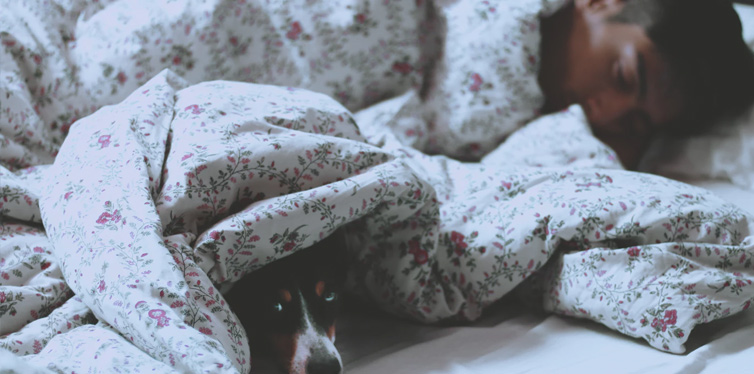 man sleeping with dog