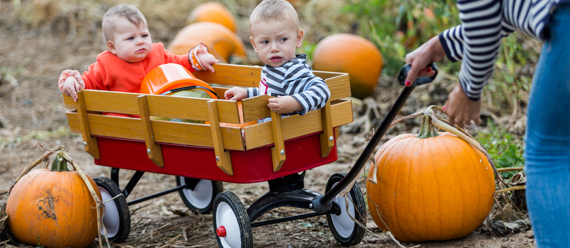 wagon for one year old