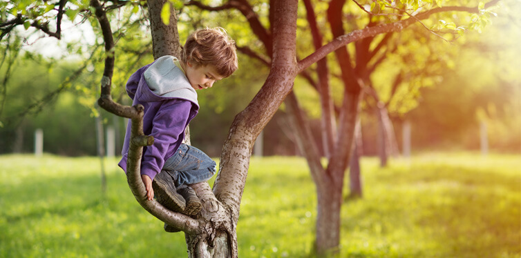 kid climbing a tree