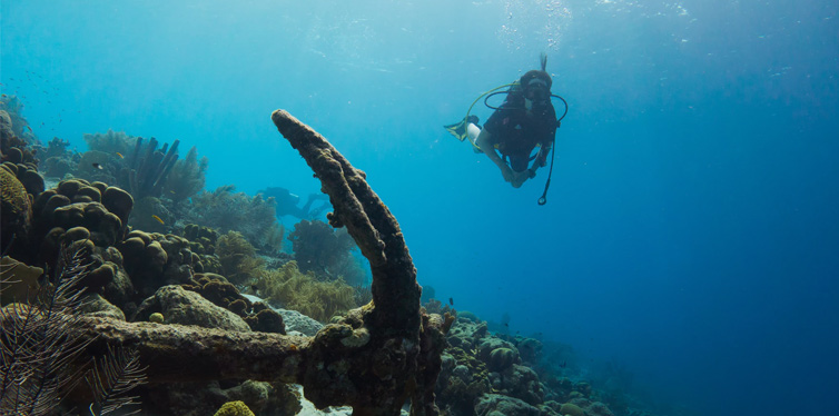 diver