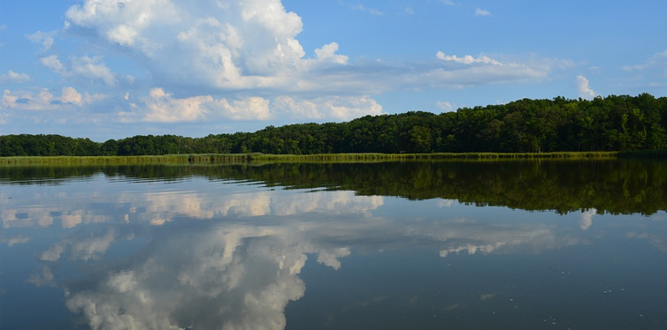 Chesapeake Bay