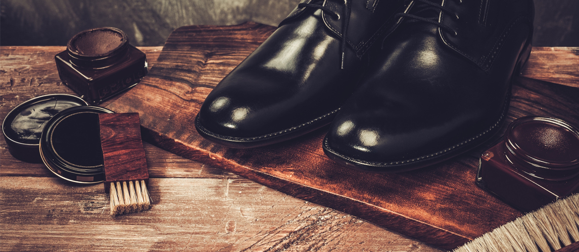 professional shoe shine kit