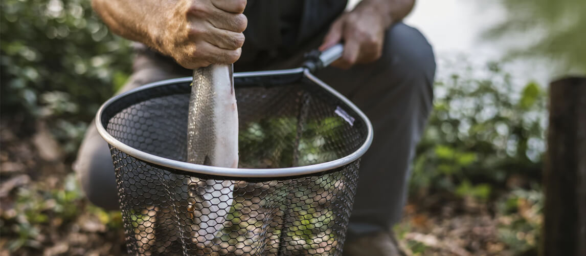 Best Fishing Nets in 2022 [Buying Guide] Gear Hungry