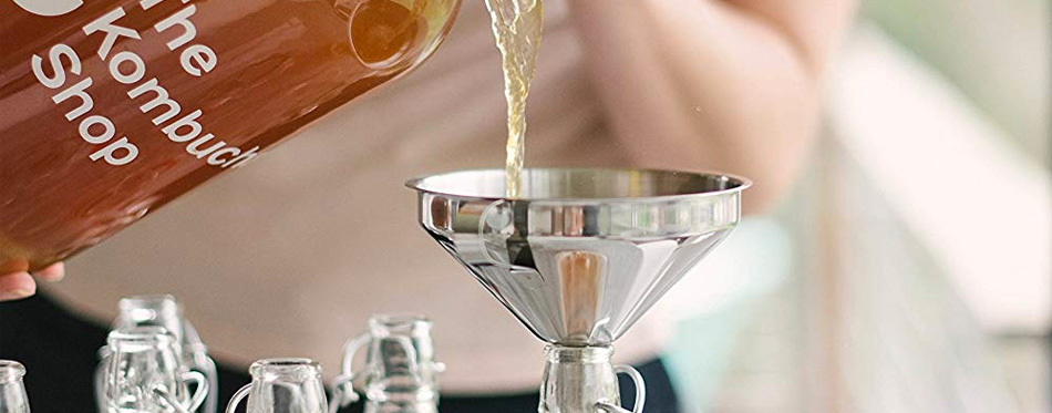 8 best kombucha starter