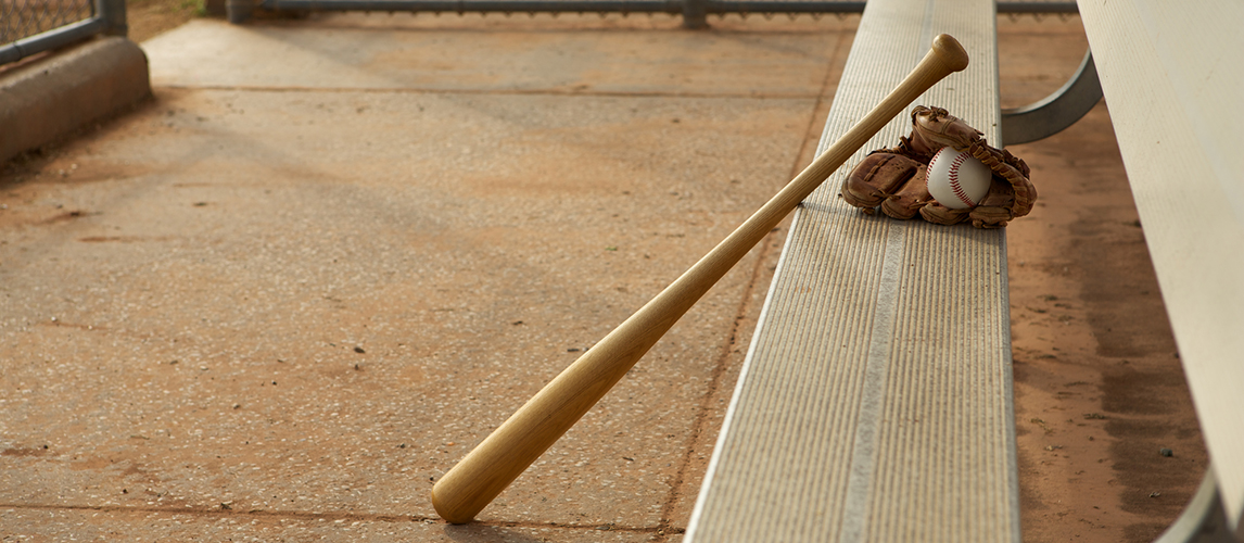 Best Baseball Bats in 2022 [Buying Guide] GearHungry