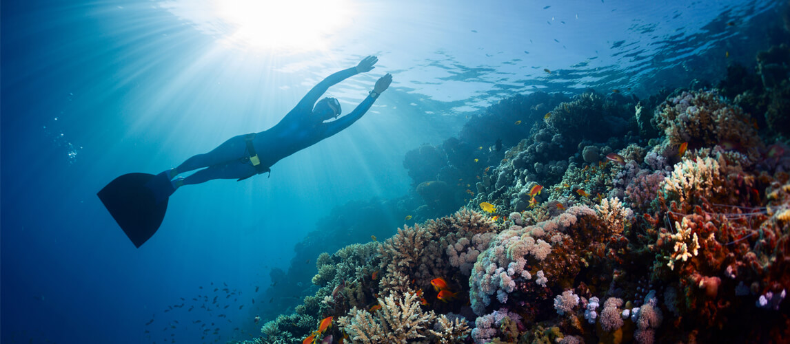 best freediving watch