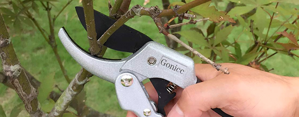 best pruning shears