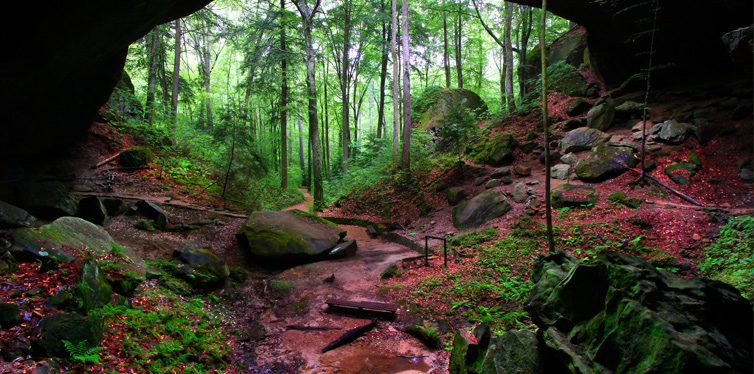 dallas county, alabama