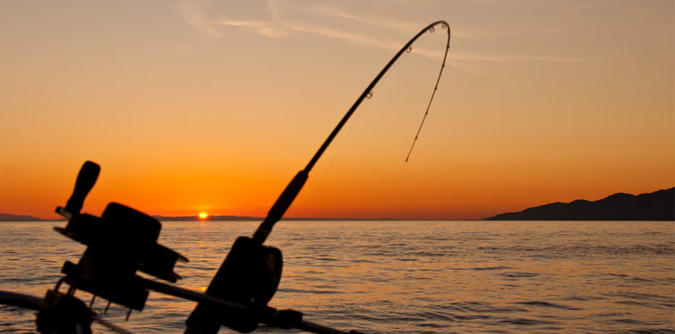 fishing in sunset