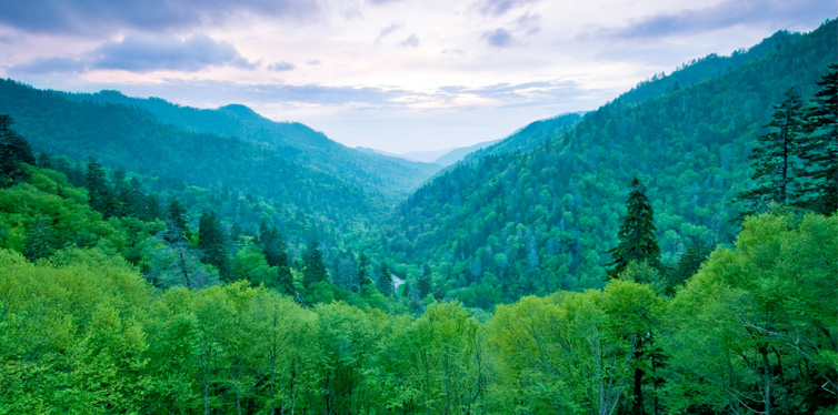 great smoky mountains