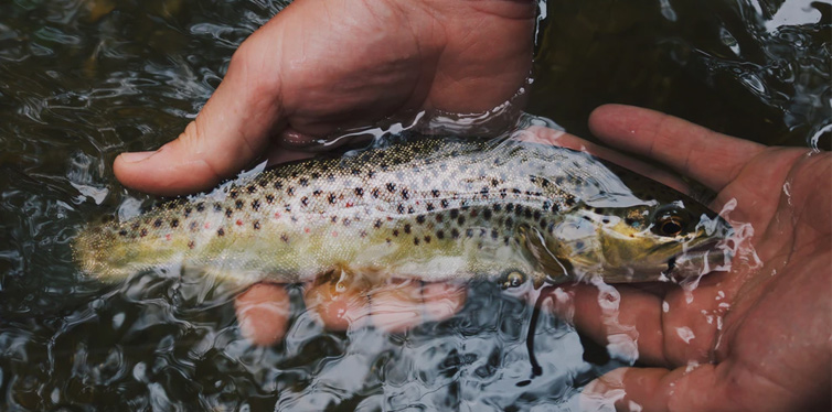 man holding river fish