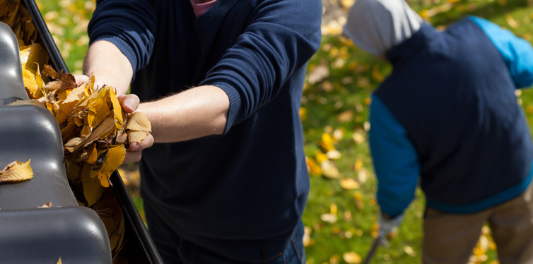 cleaning gutters