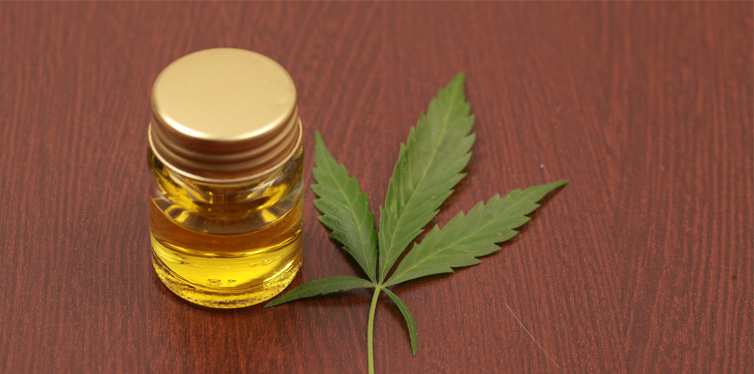 cannabis leavs and oil cbd