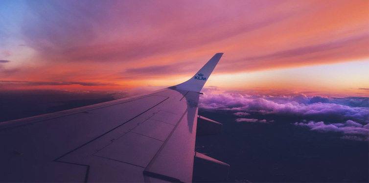 plain wing