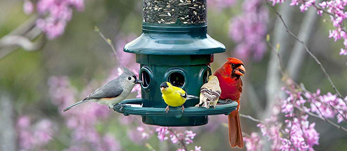 9 Best Bird Feeders In 2020 Buying Guide Gear Hungry