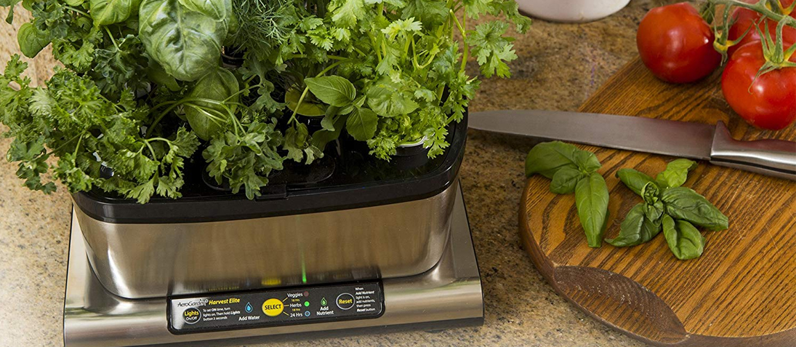 Best Indoor Herb Garden Kits In 2022 [Buying Guide] – Gear Hungry