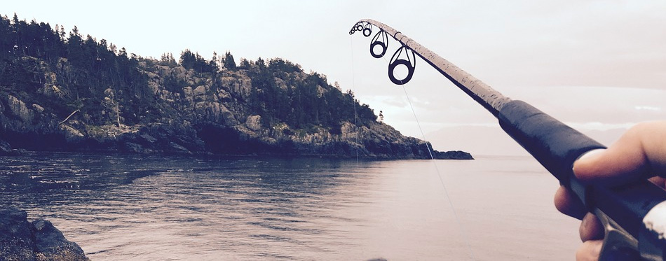 Best Saltwater Fishing Rods In 2022
