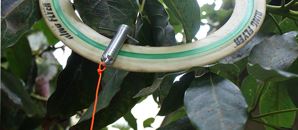 Best Grappling Hooks In 2022 [Buying Guide] Gear Hungry