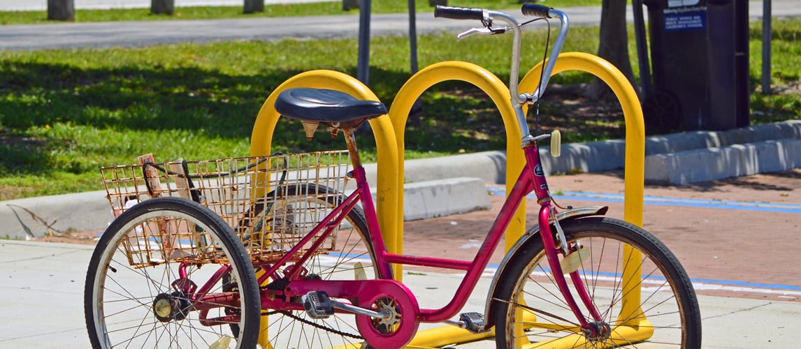 komodo adult tricycle