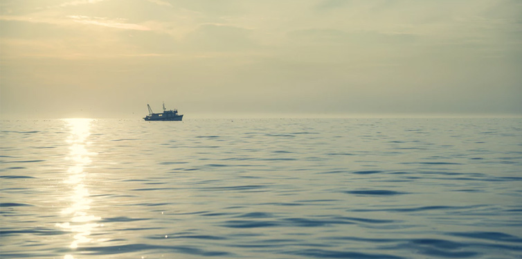 boat on the sea
