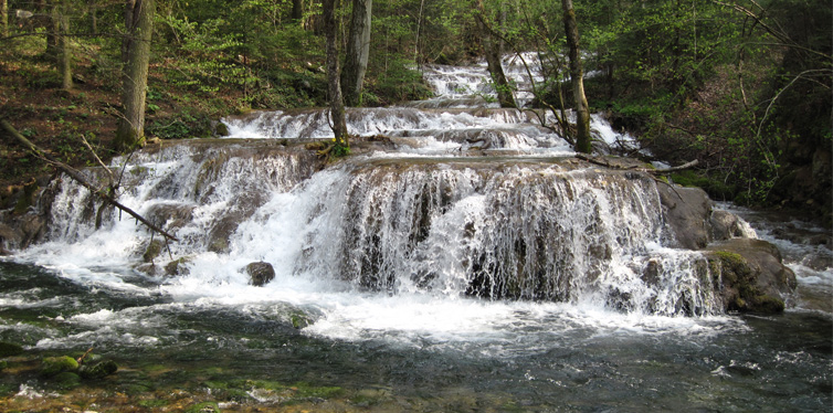 cheile nerei beusnita national park