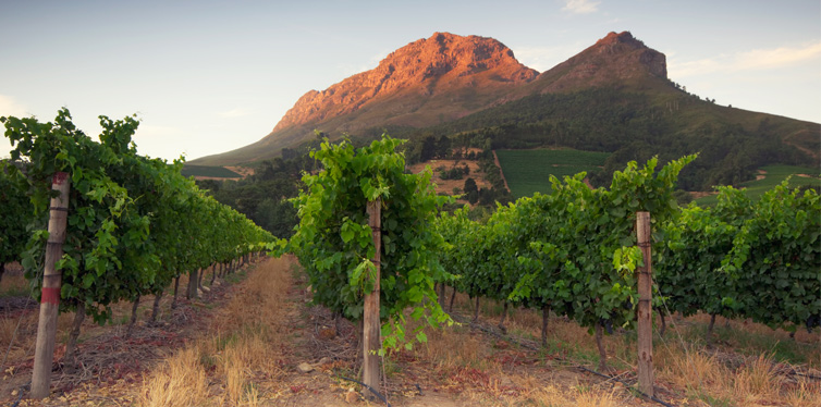 stellenbosch, south africa
