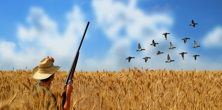 duck hunter