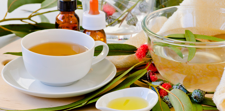 eucalyptus tea