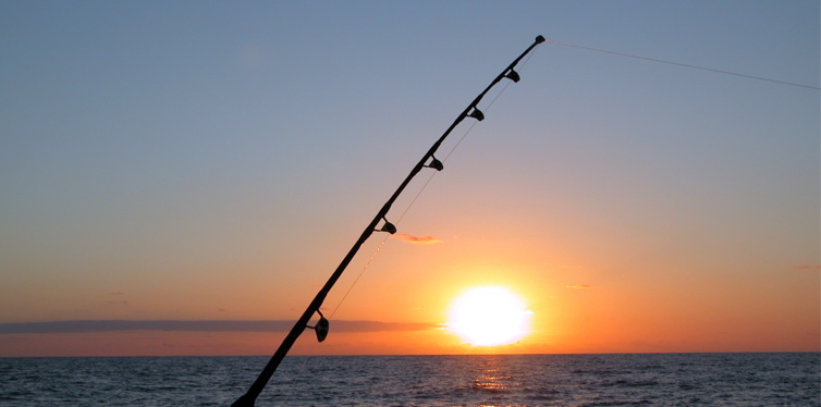 fishing rod
