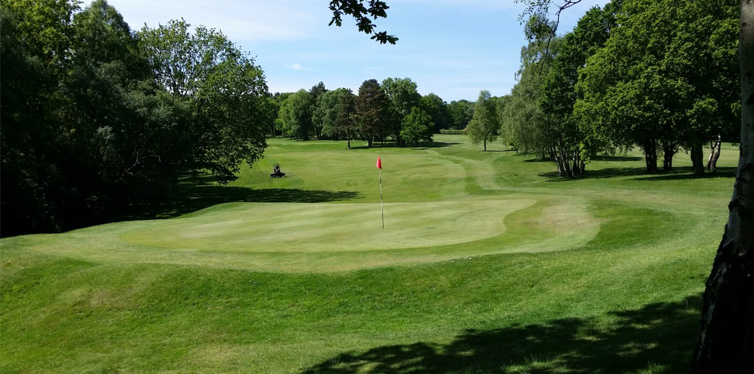 flag on a golf course