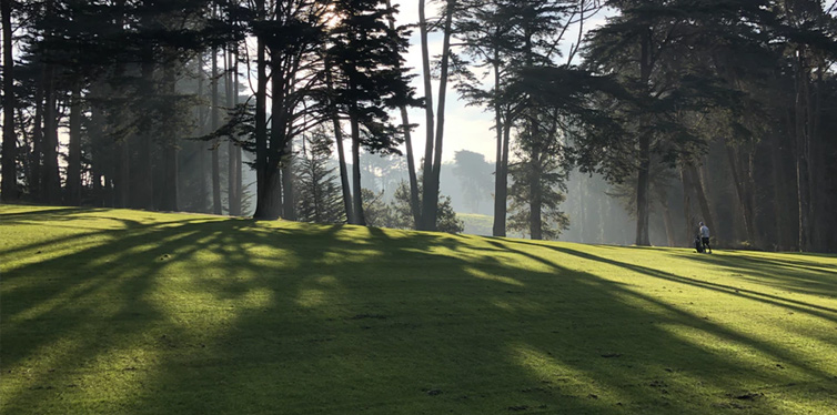 golf course with trees