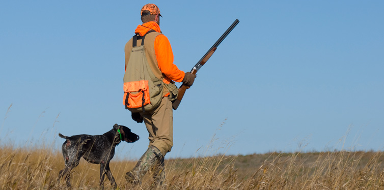 Best Hunting Destinations In Europe – Gear Hungry