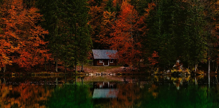 a lodge in the woods