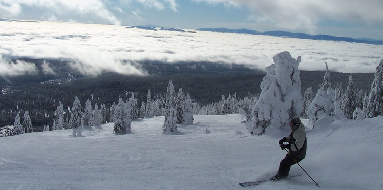 big white canada