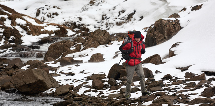 how to survive arctic climate