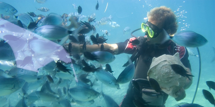 man snorkeling touching fish