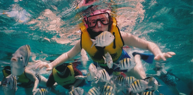 snorkeling and touching fish