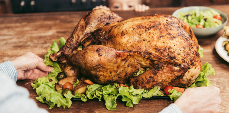 thanksgiving turkey